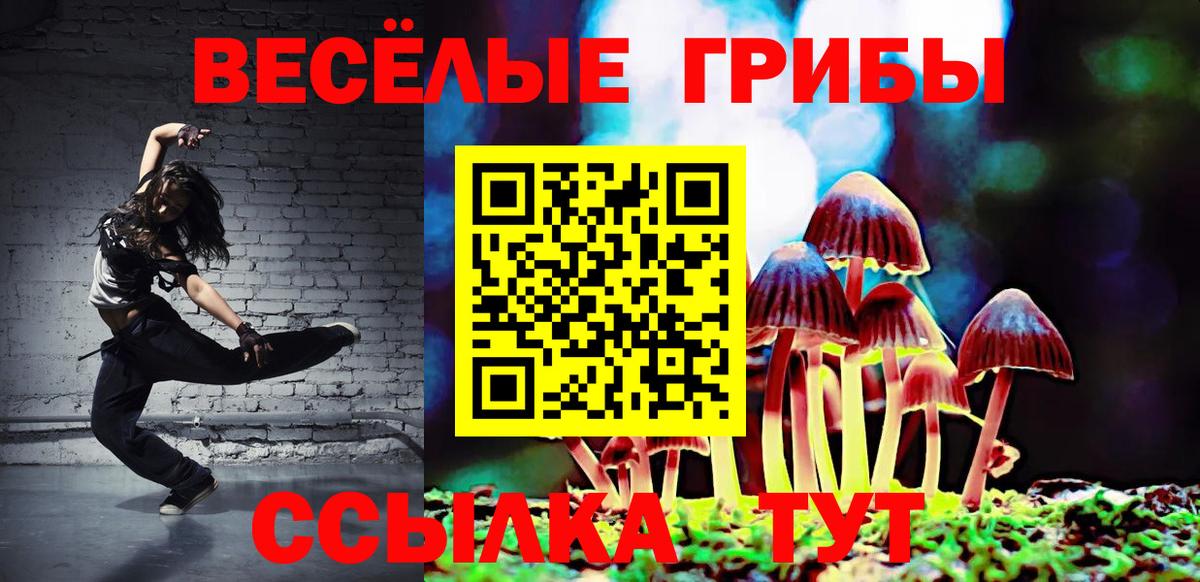 Гай  Галлюциногенные грибы прущие грибы  Вход с VPN 