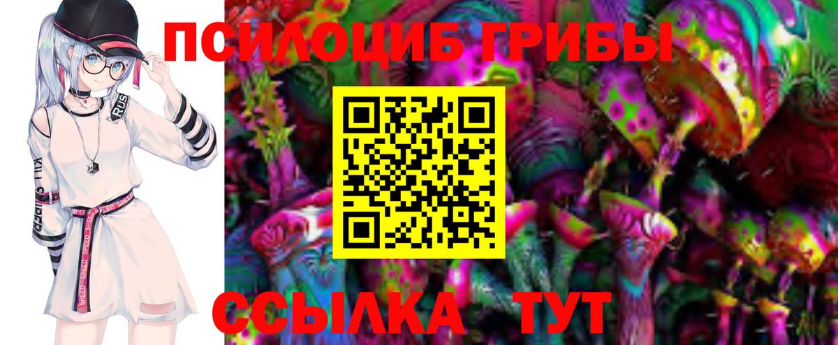 Галлюциногенные грибы Cubensis Гай